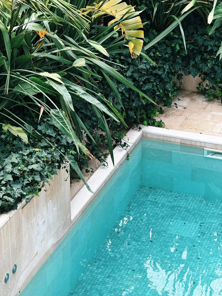Serene swimming pool surrounded by tropical plants, offering a peaceful escape.